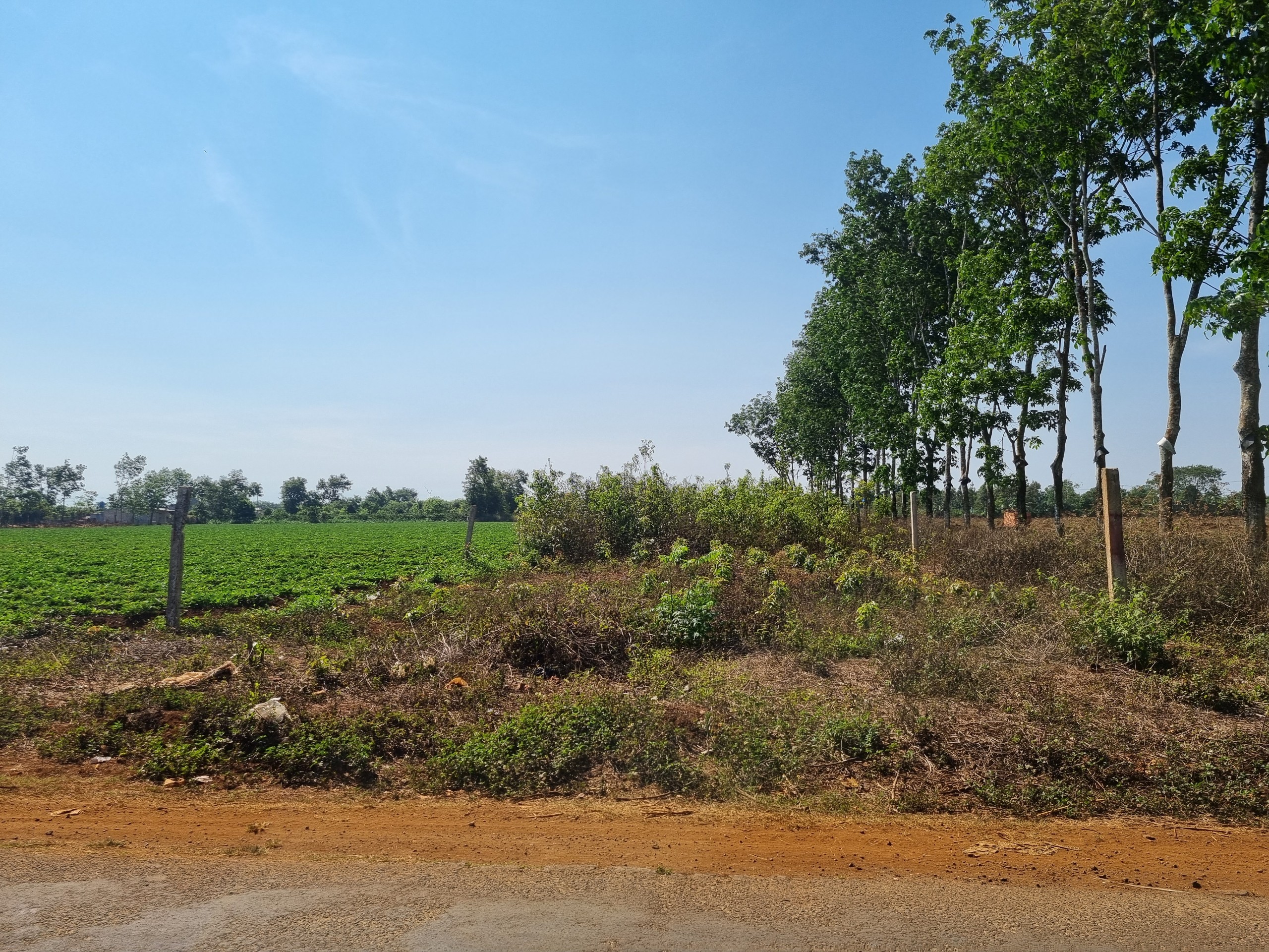 A/S 12 – Cần bán đất 10m hẻm Trương Định, 500m vuông